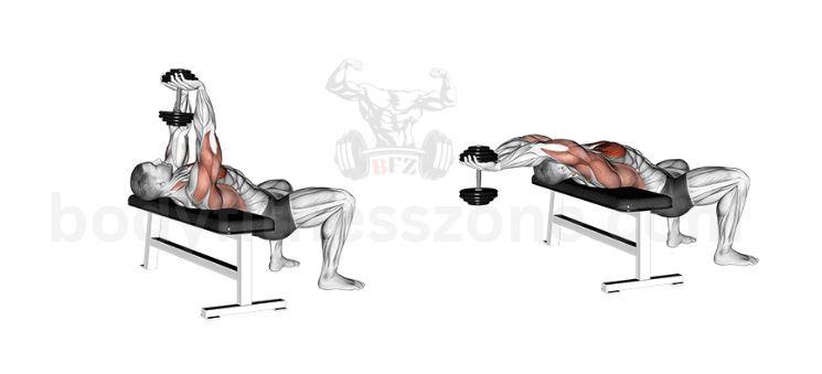 a man is doing dumbbell pullover exercise