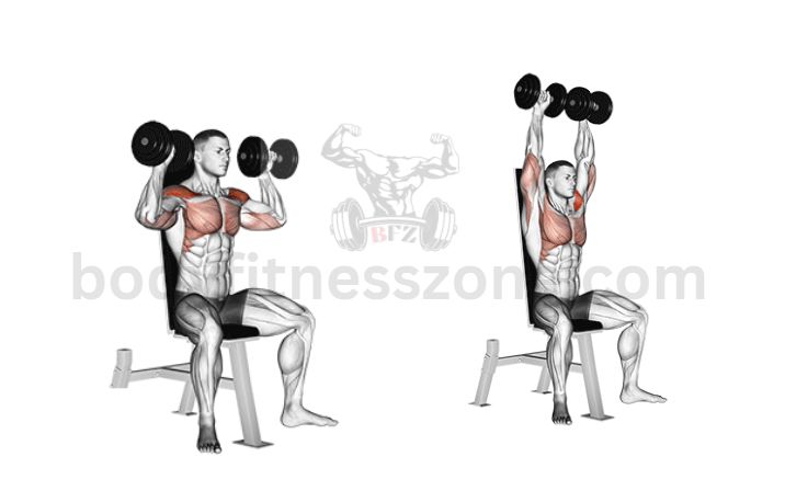 A man performing dumbbell shoulder press as part of his shoulder workouts