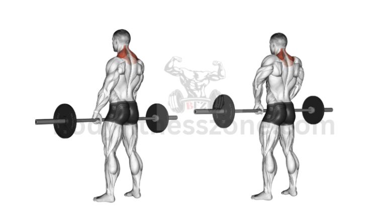 A man performing shrugs with heavy dumbbells, lifting his shoulders upward