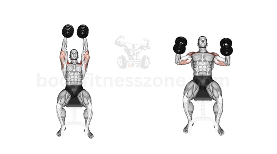 incline hammer press