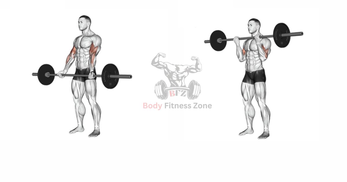 Arm Workouts – Barbell Curl for Bigger Biceps