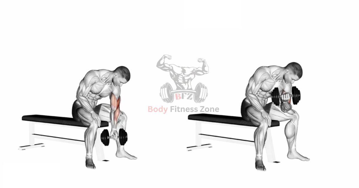 Arm Workouts – Concentration Curl for Isolated Biceps