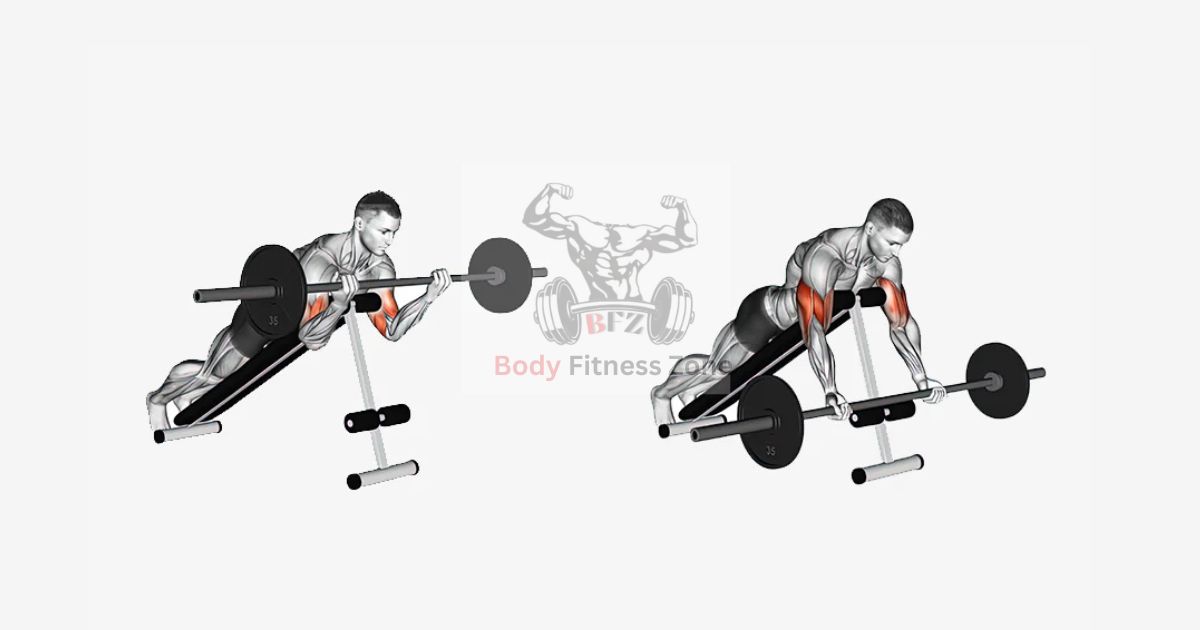 Arm Workouts – Spider Curl for Peak Bicep Growth