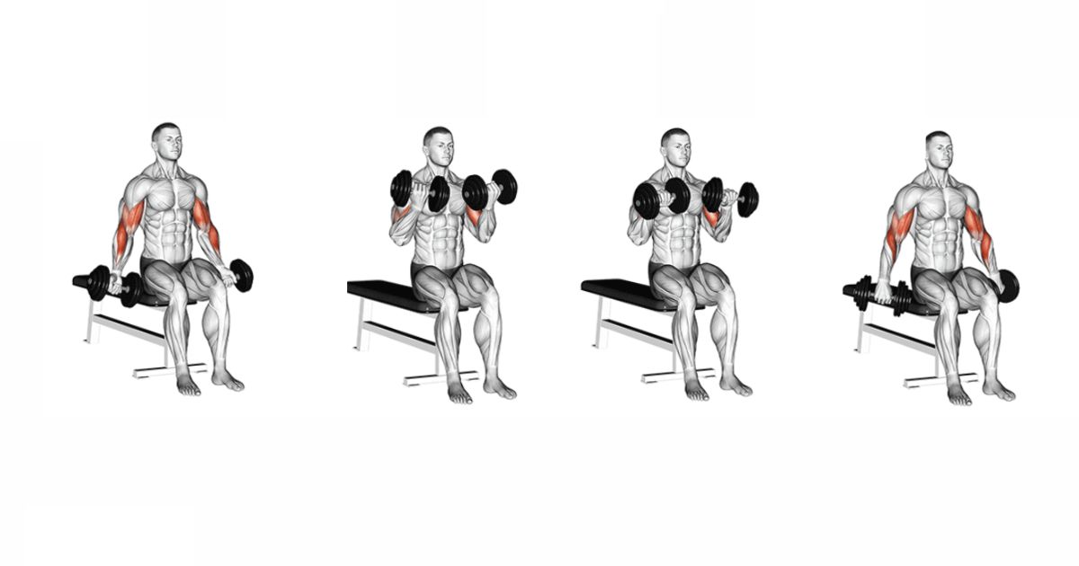 Arm Workouts – Zottman Curl for Biceps and Forearms