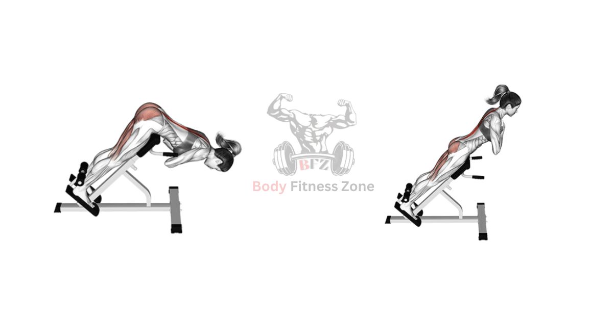 Back Extension Exercise