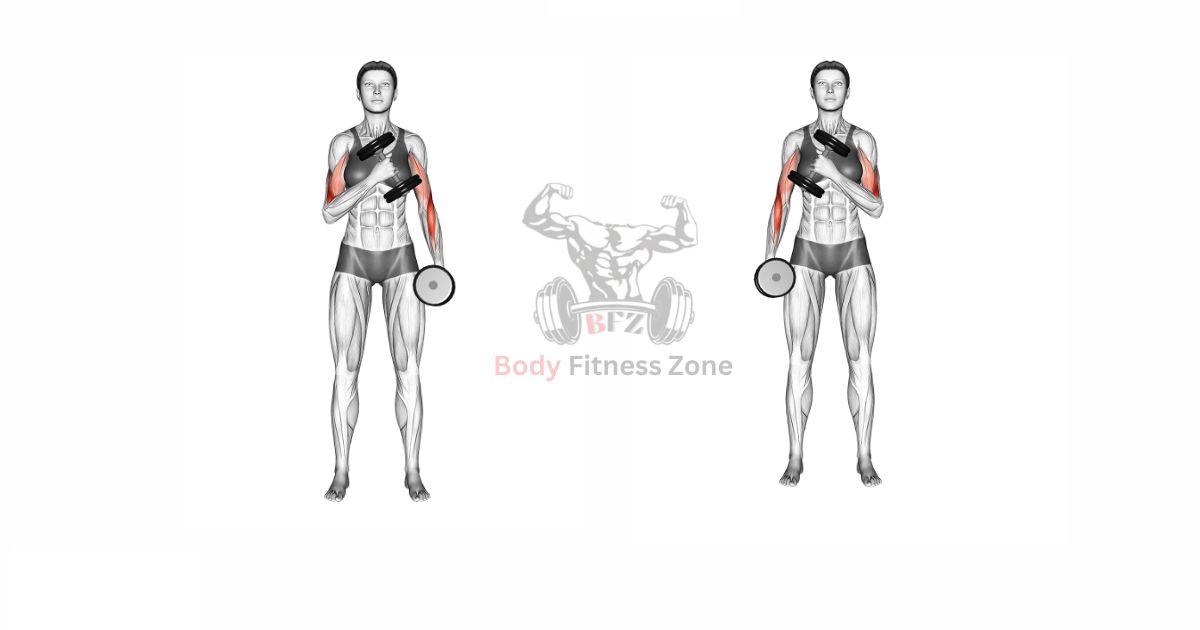 Cross Body Hammer Curl