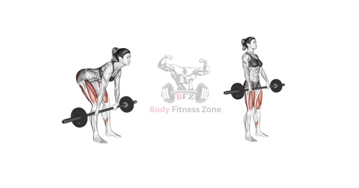 Romanian Deadlift Exercise