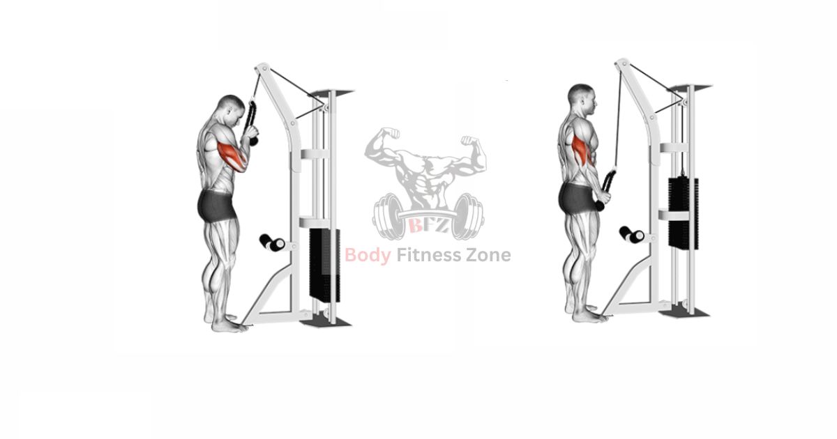 Rope Pushdown Cable Exercise for Triceps