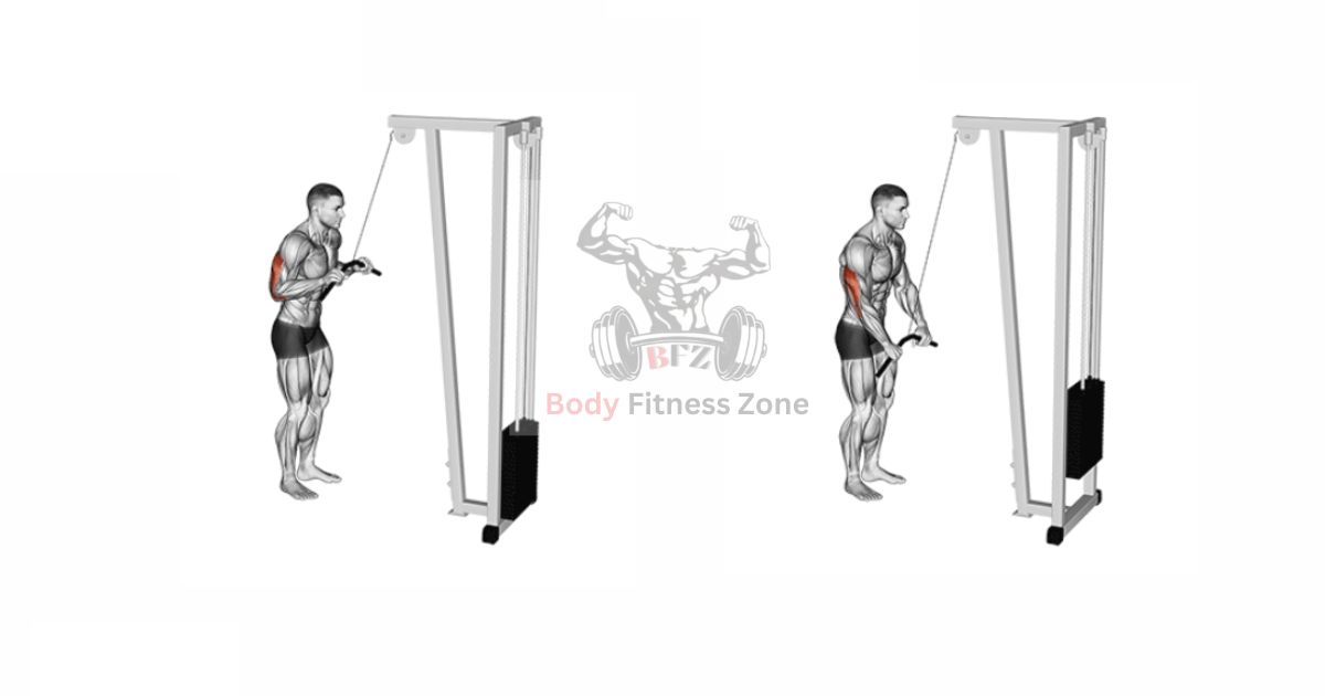 Triceps Pushdown
