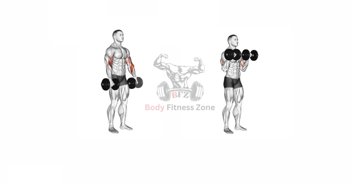 dumbbell reverse grip curl
