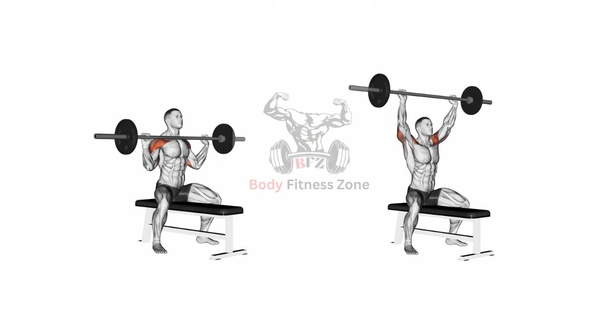 Front Delt Exercises – Barbell Shoulder Press for Strength and Size