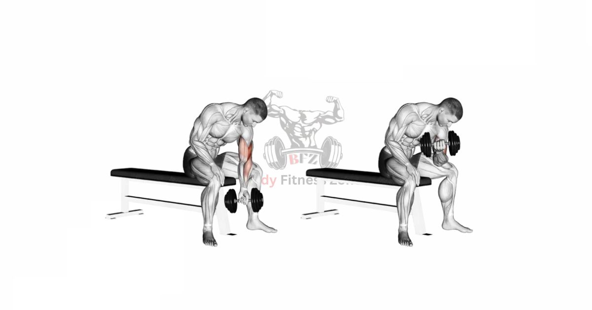 Man Performing Concentration Curl – Isolate and Build Biceps