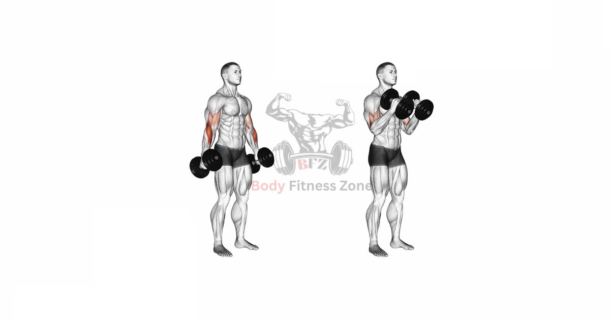 Man Performing Hammer Curl – Build Strong and Defined Arms