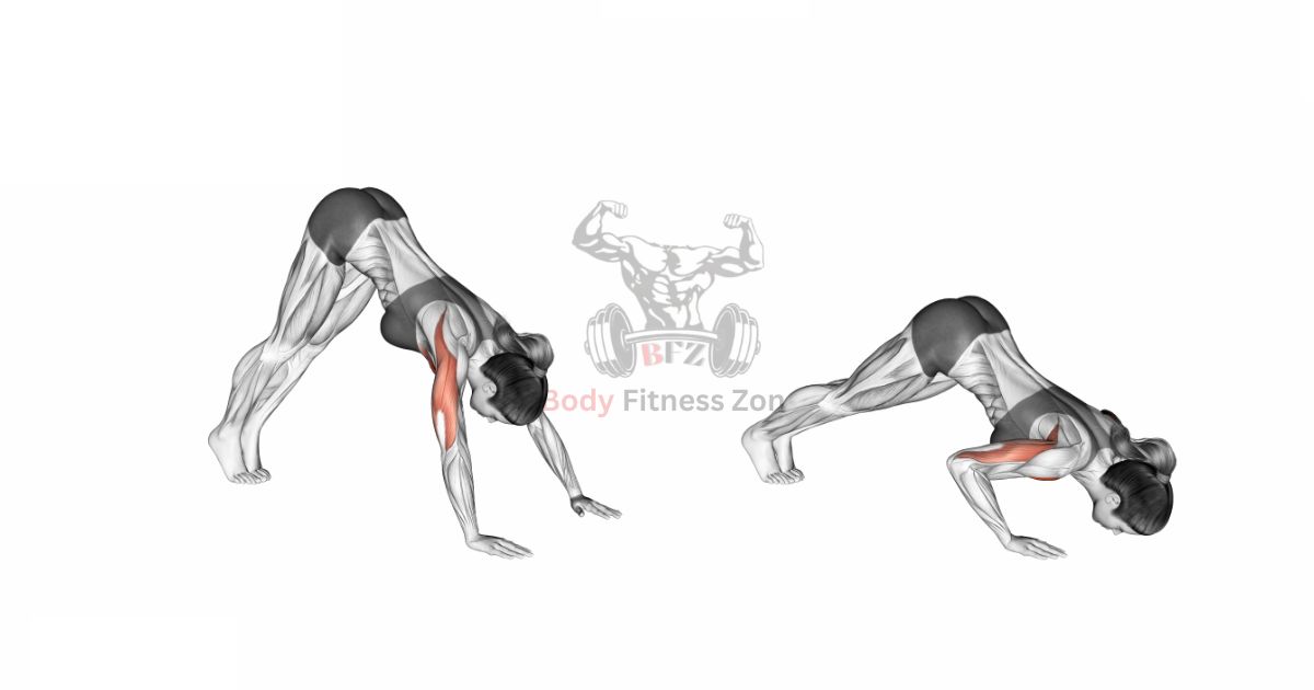Pike Push Ups – A Bodyweight Front Delt Exercise