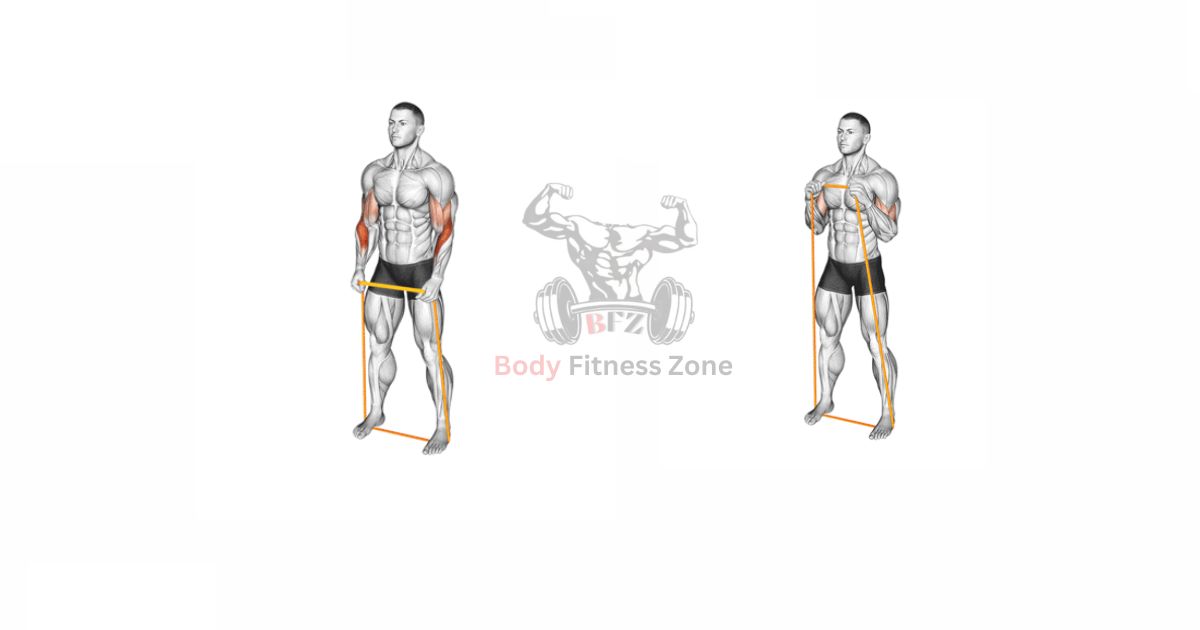 Resistance Band Curls – Build and Tone Your Biceps Anywhere